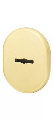 Декоративная накладка на сувальдный замок со шторкой PS-DEC CT (ATC Protector 1) SG-1 Матовое золото